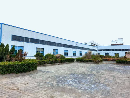 創(chuàng)新科技 美食動力